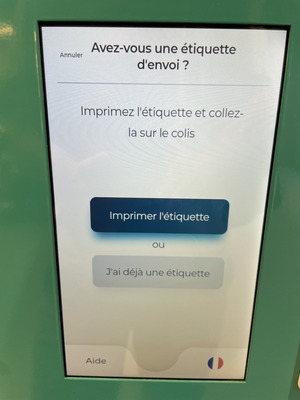 Vinted Go