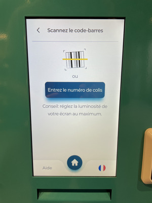 Vinted Go